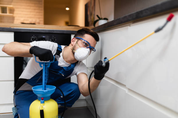 Best Pest Control Treatment  in Sandy Oaks, TX