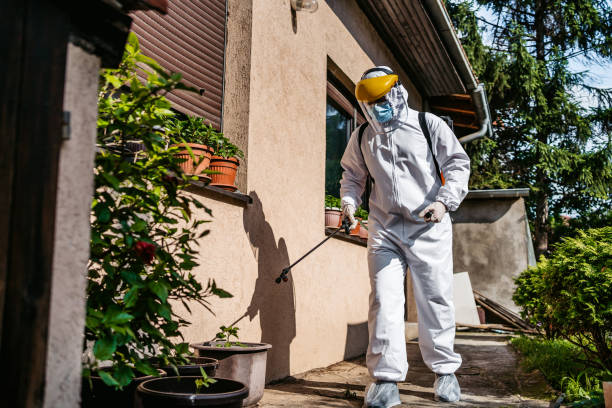 Best Pest Control for Restaurants  in Sandy Oaks, TX