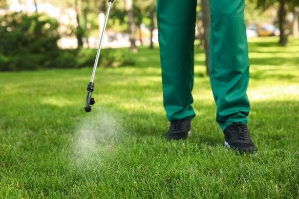 Best Emergency Pest Control  in Sandy Oaks, TX