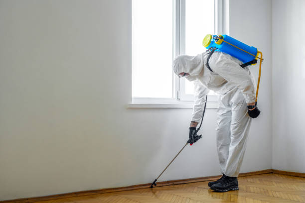 Insect Control in Sandy Oaks, TX