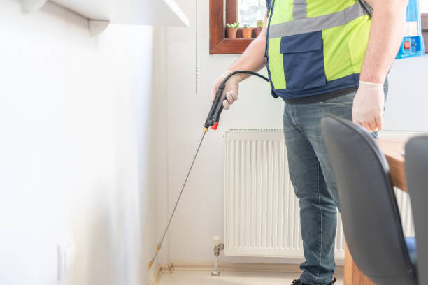Best Wasp Removal Services  in Sandy Oaks, TX