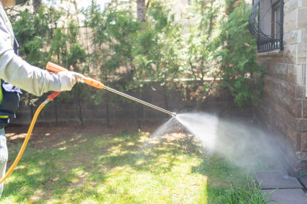 Best Affordable Pest Control Services  in Sandy Oaks, TX
