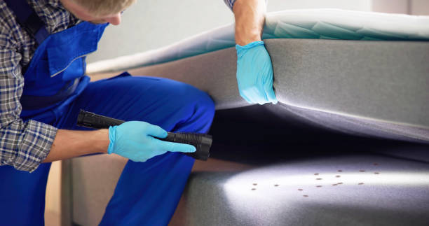 Reliable Sandy Oaks, TX Pest Control Solutions